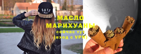 индика Осташков