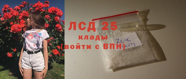 индика Осташков