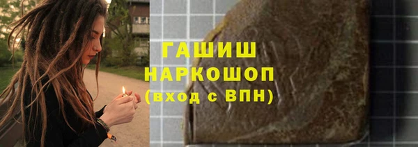 индика Осташков
