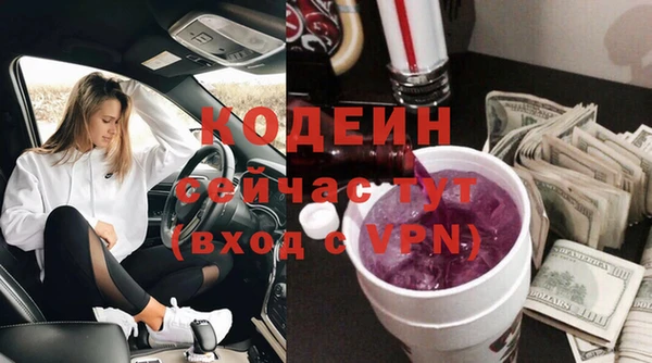 индика Осташков