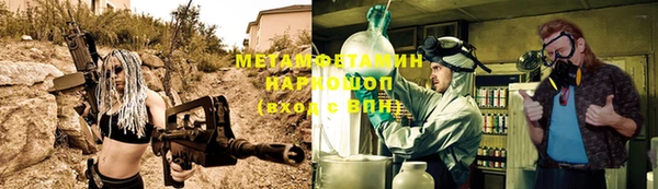 шишки Пересвет