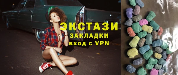 индика Осташков