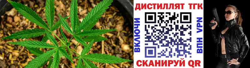 где найти   Нижний Новгород  ТГК вейп 